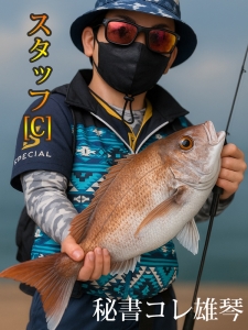 いまさらですが。。。