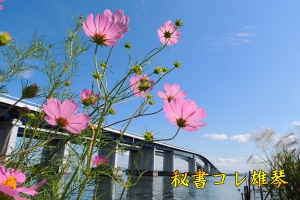 ご近所探検！！